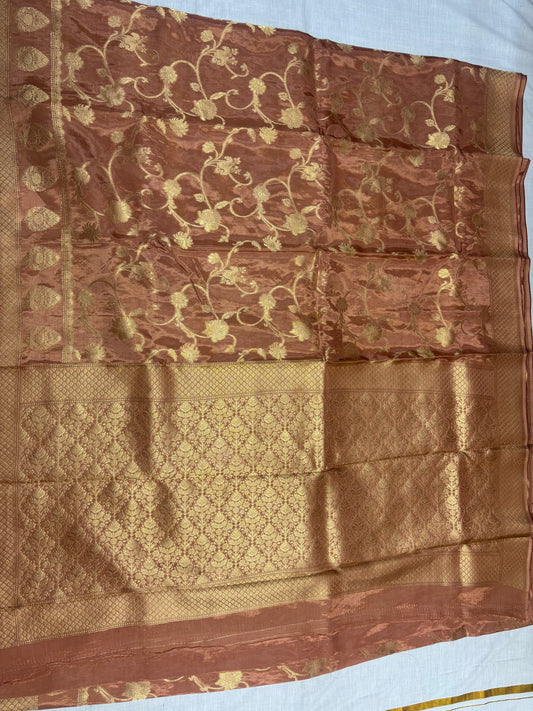 Brown Banarasi Russian Silk Saree with Silver Jaal Design - Designer Party Wear