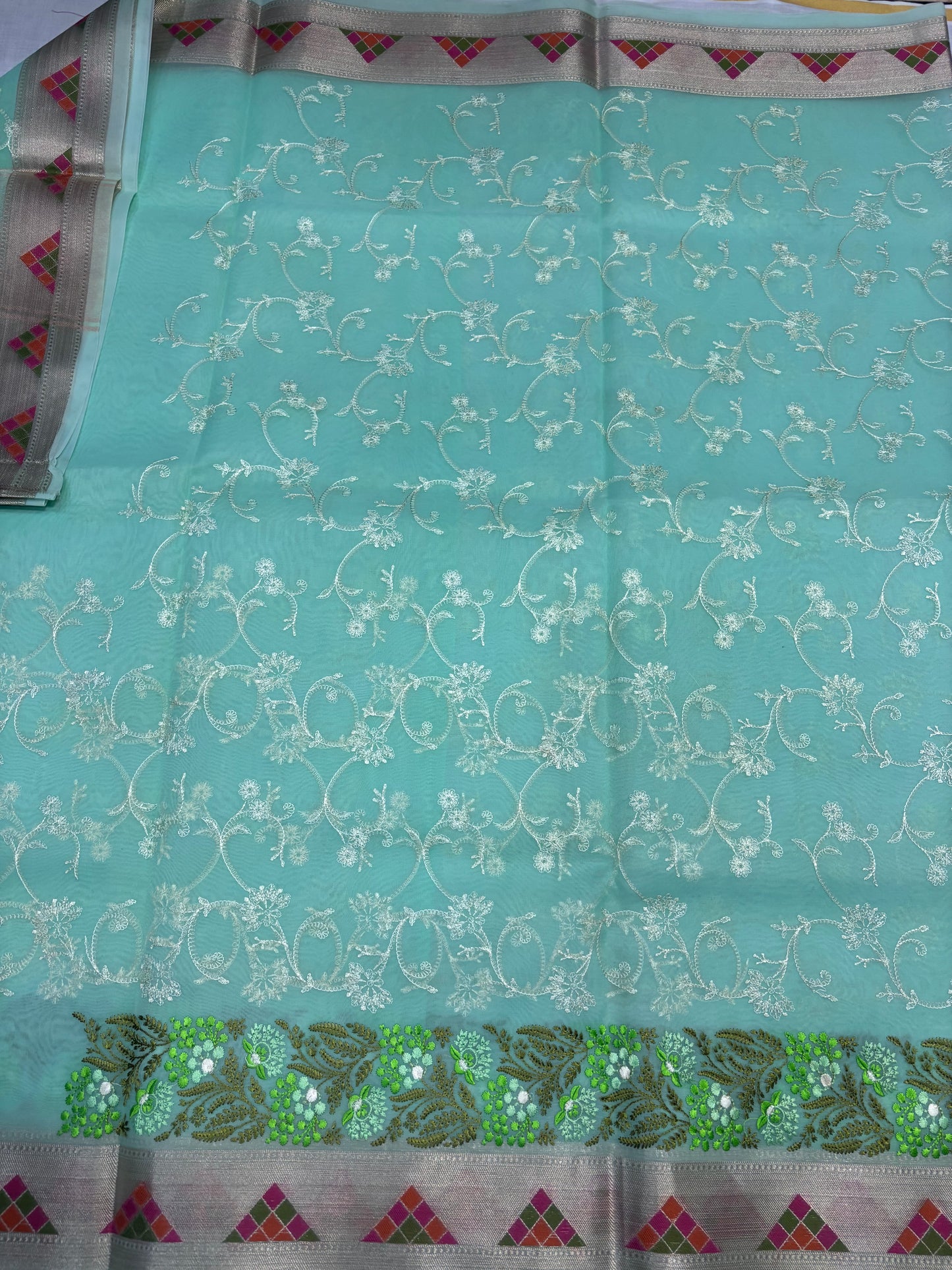 Banarasi Light Green Kora with Parsi Border Saree - Designer Party Wear