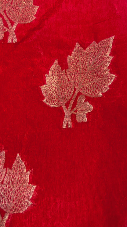 Red Banarasi Raw Silk, Traditional Wear with Silver Leaf Patterned Weaving with Contrast Blouse
